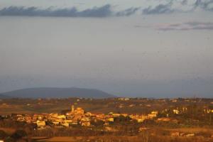 Agriturismo Sanguineto