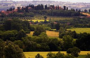 Agriturismo Sanguineto