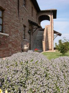 Agriturismo Sanguineto