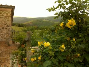 Agriturismo Casale Del Sole