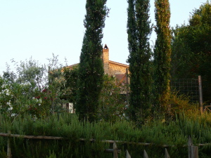 Agriturismo Casale Del Sole