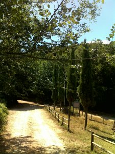 Agriturismo Casale Del Sole