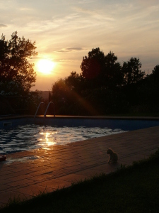 Agriturismo Casale Del Sole