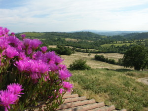 Agriturismo La Meria