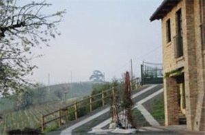 Il Cedro