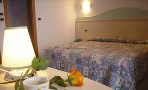 Hotel Salus