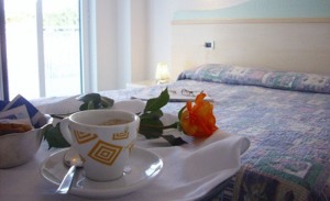 Hotel Salus