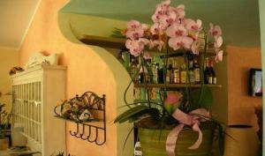 Hotel Le Sabbie