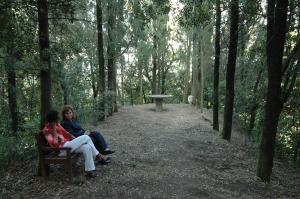 Residence Il Gavillaccio