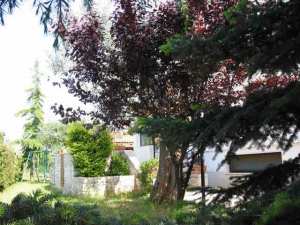 B&B Villa Ernestina