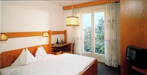 Hotel Steiner