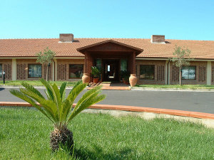 Il Parco Degli Ulivi