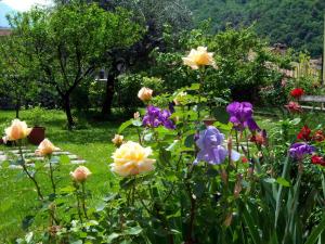 Albergo Garn?? Delle Rose