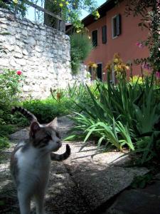 Albergo Garn?? Delle Rose