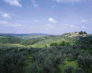 Country Relais Villa L'Olmo
