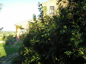 Tenuta Santagnese