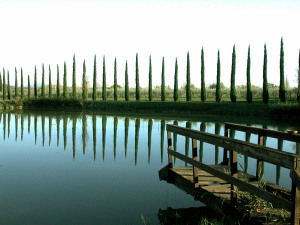 Agriturismo La Sovana