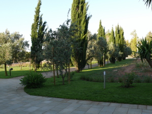 Wine Resort Led?? d'Ittiri