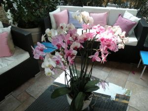 Hotel La Piazza