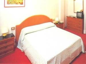 Hotel Areion