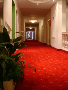 Hotel Bellevue