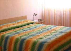 Actinia Accommodation