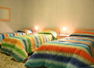 Actinia Accommodation