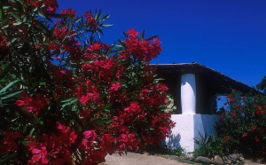 Capofaro Malvasia & Resort