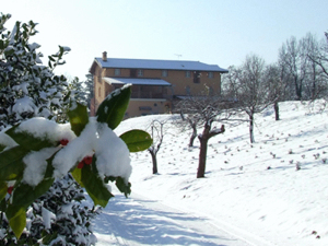 Tenuta Montezeglio