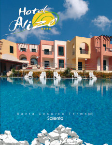Hotel Aliz??