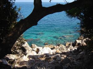 Il Vecchio Mulino