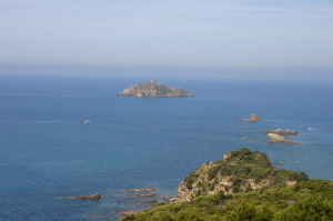 Residence Scoglietto 50