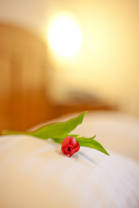 Hotel Elefant