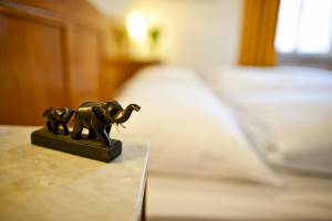 Hotel Elefant