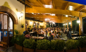 Norcenni Girasole Club