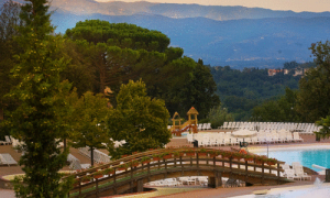 Norcenni Girasole Club