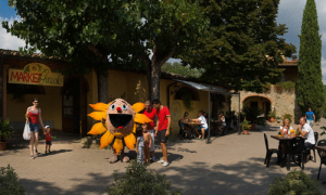Norcenni Girasole Club