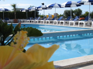 Hotel Delle Mimose