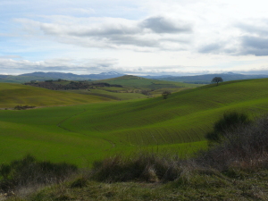 Agriturismo Il Rigo