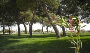 Posta Del Falco B&B