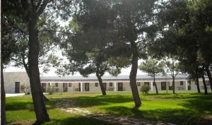 Posta Del Falco B&B