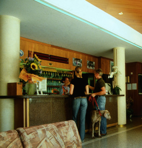 Hotel Bisesti