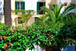 B&B Palazzo Flora