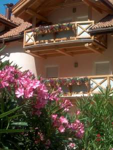 Hotel Ristorante Lewald