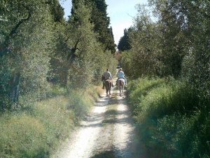 Agriturismo La Palazzina