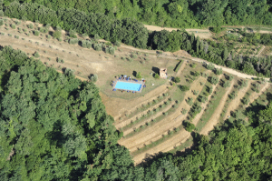 Agriturismo La Palazzina