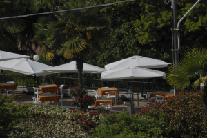 Hotel Flora