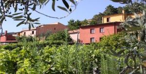 Il Borgo Di Campi