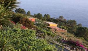 Il Borgo Di Campi