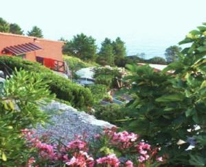 Il Borgo Di Campi